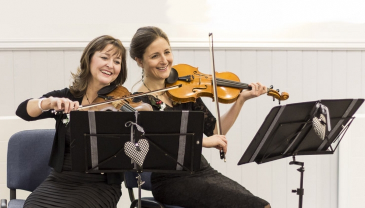 Abbey Strings