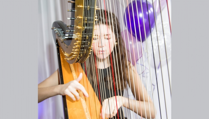 Helena Pearson - Harpist