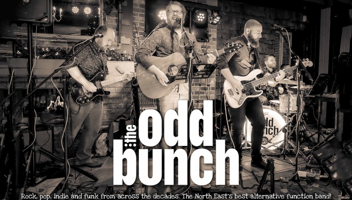 The Odd Bunch