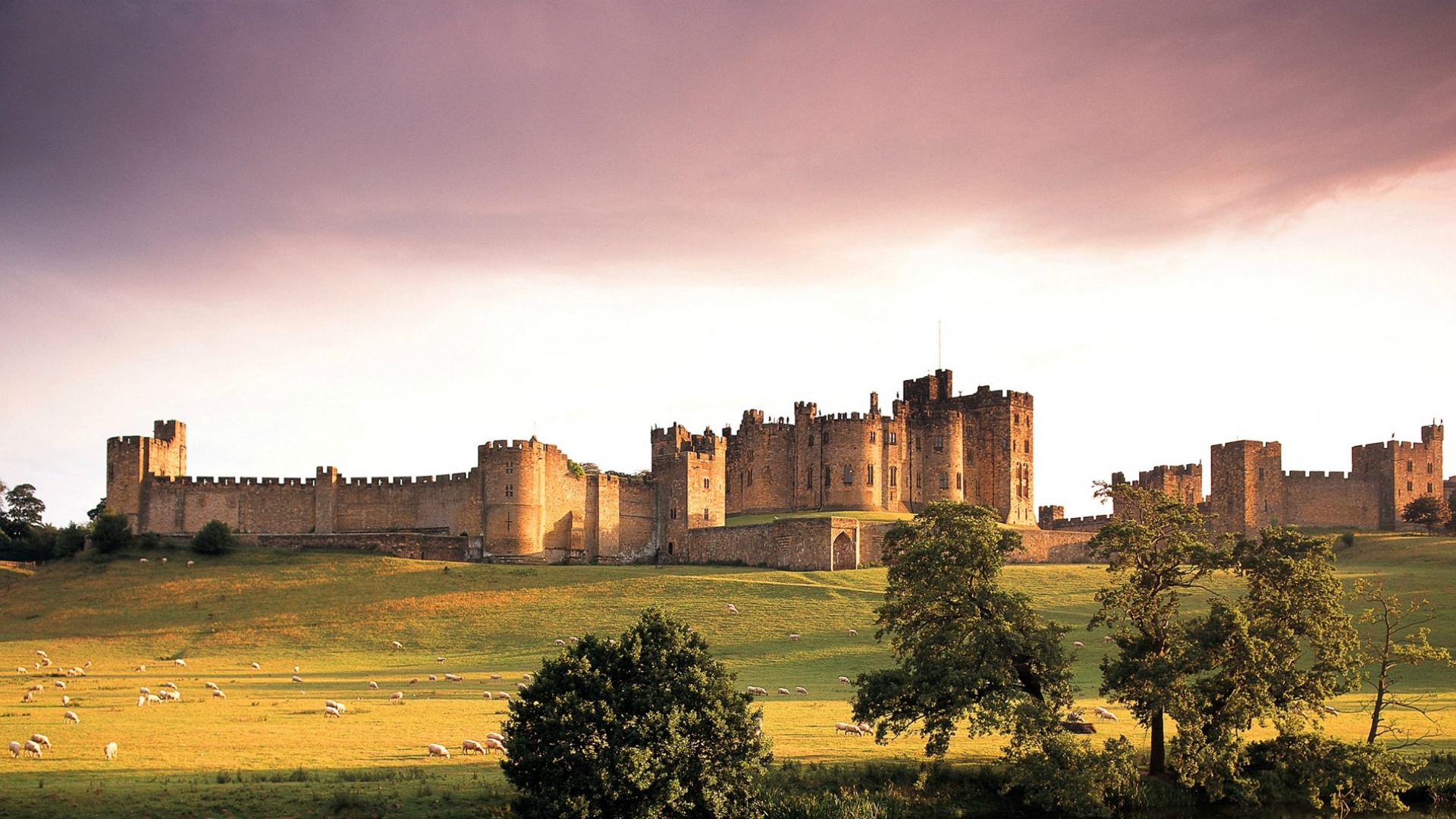 Alnwick Castle Grounds