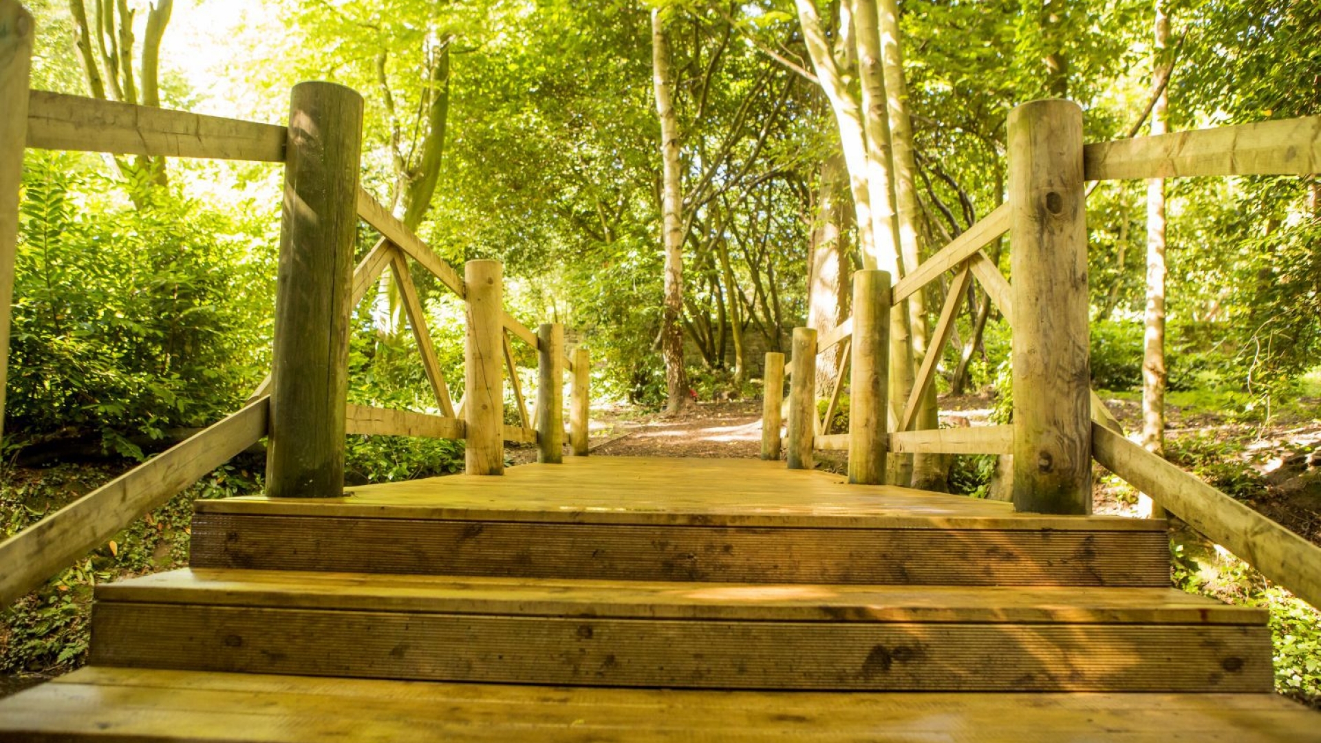 Ellingham Hall Grounds